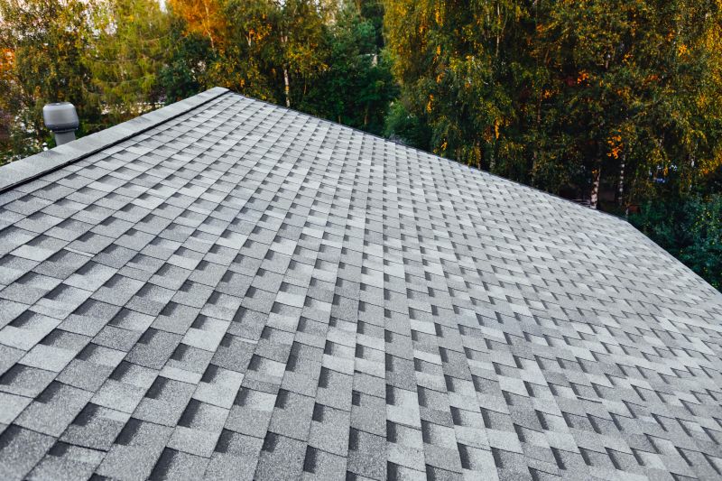 Products For Shingle Replacements in use